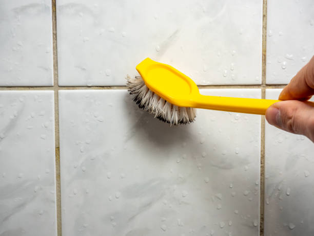 Best Professional Mold Removal  in Wright, FL