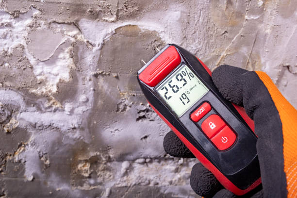 Best Residential Mold Removal  in Wright, FL